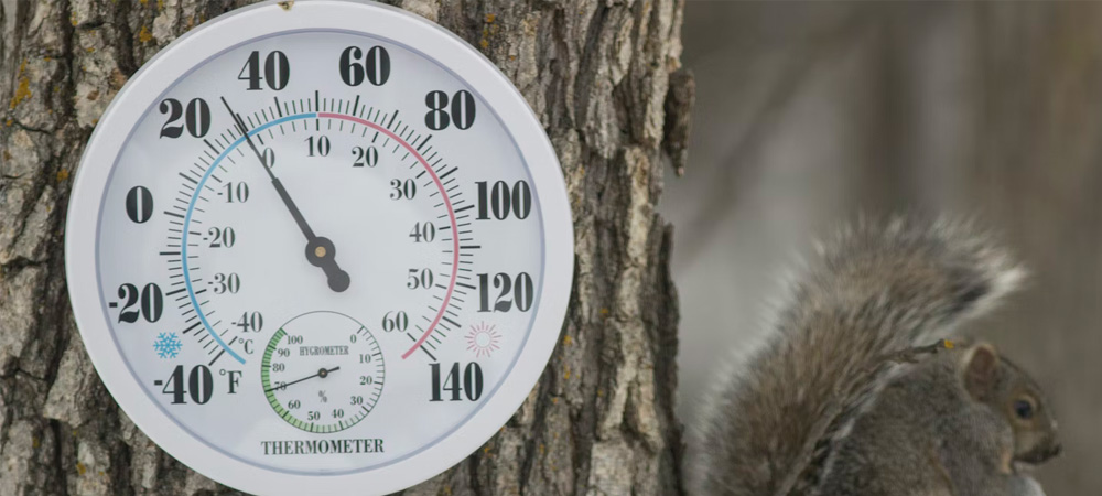 https://www.swgreenhouses.co.uk/user/news/thumbnails/thermometer-next-to-squirrel.jpg