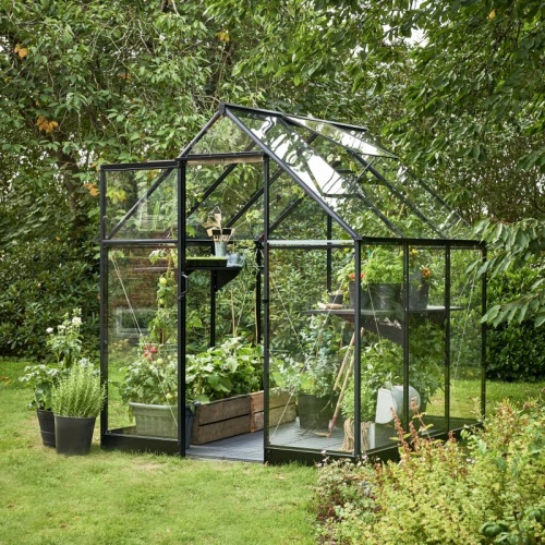 6x6 Greenhouses: Free UK Delivery & 2000+ Reviews